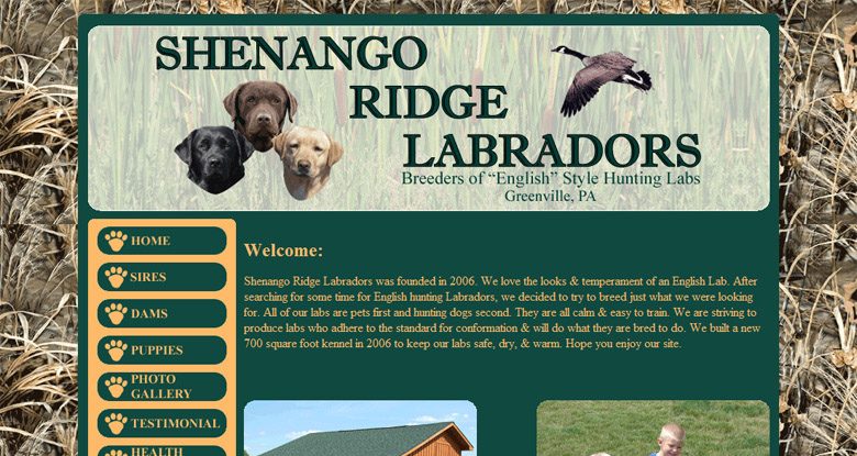 Shenango Ridge Labradors
